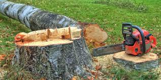 Best Tree Risk Assessment  in Eau Claire, WI