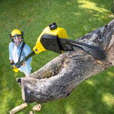 Best Emergency Tree Removal  in Eau Claire, WI